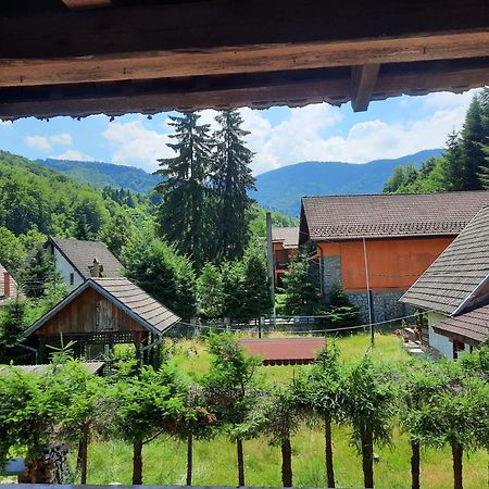 Appartamento Casa Maia Cîrţişoara Esterno foto