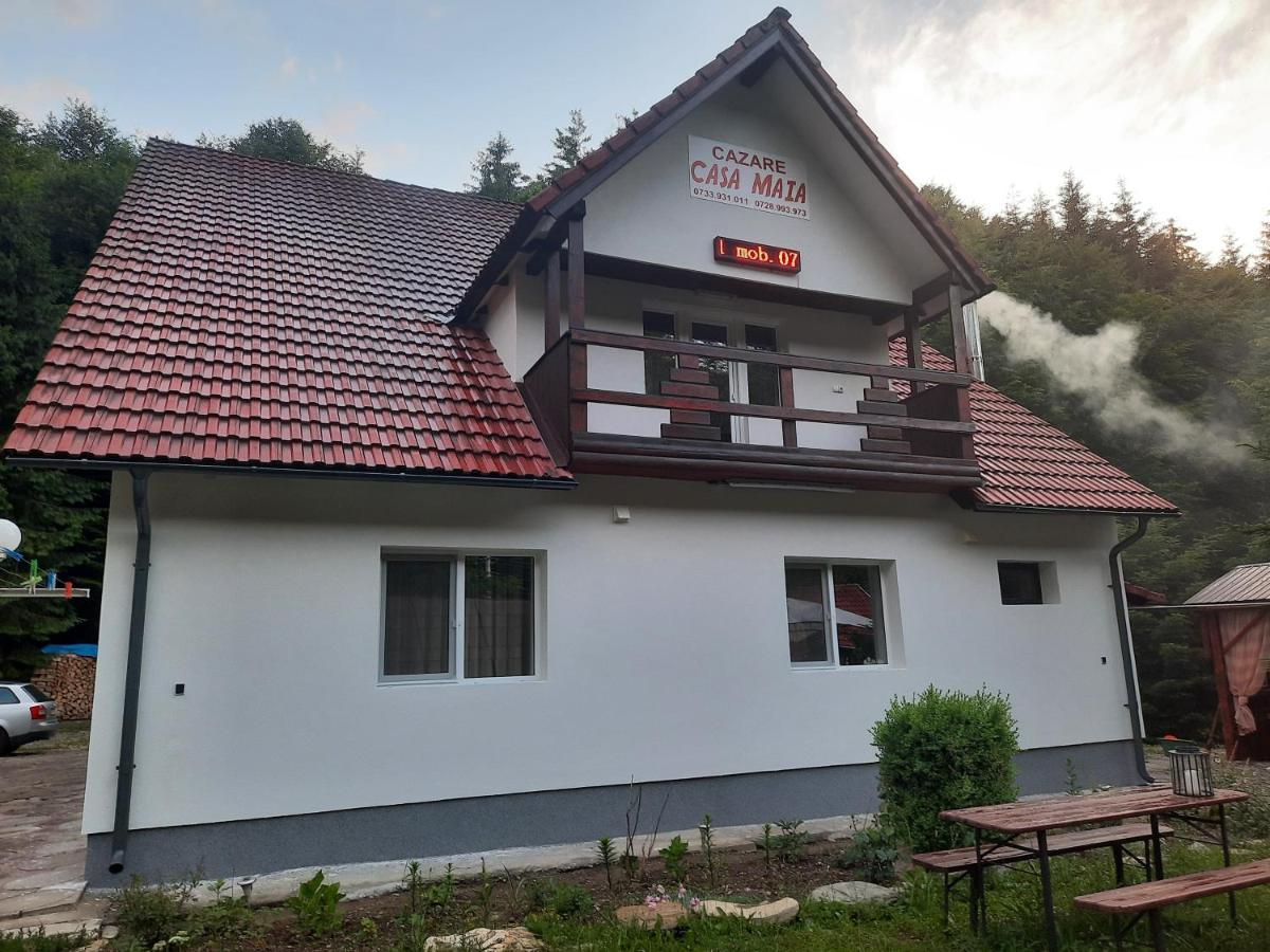 Appartamento Casa Maia Cîrţişoara Esterno foto