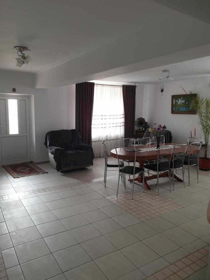 Appartamento Casa Maia Cîrţişoara Esterno foto