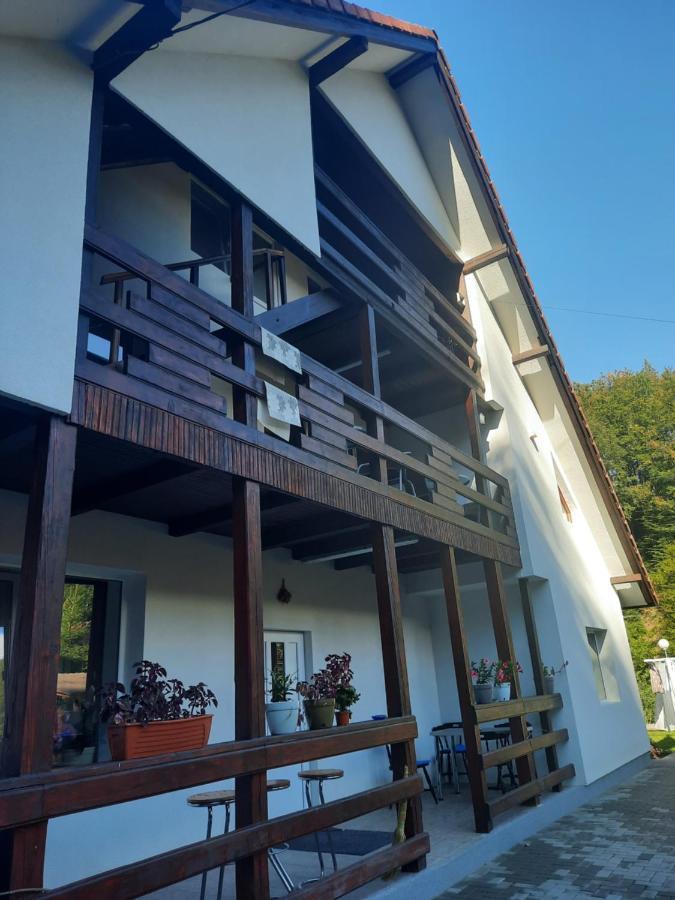 Appartamento Casa Maia Cîrţişoara Esterno foto
