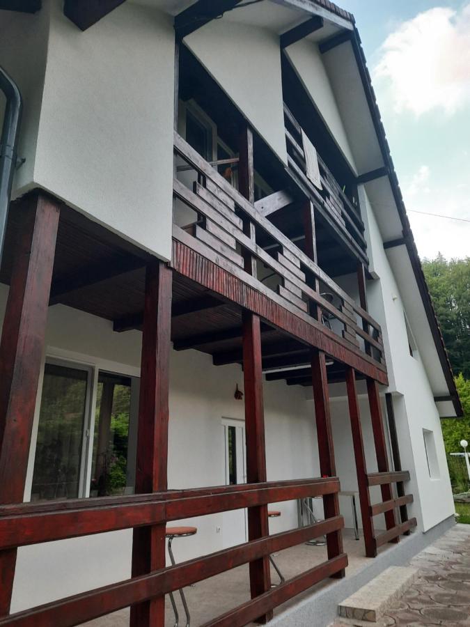 Appartamento Casa Maia Cîrţişoara Esterno foto