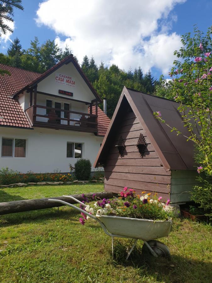 Appartamento Casa Maia Cîrţişoara Esterno foto