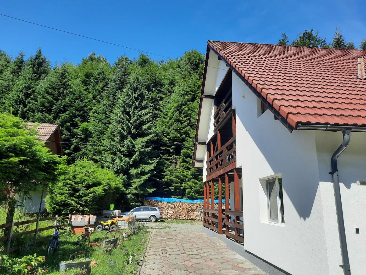 Appartamento Casa Maia Cîrţişoara Esterno foto