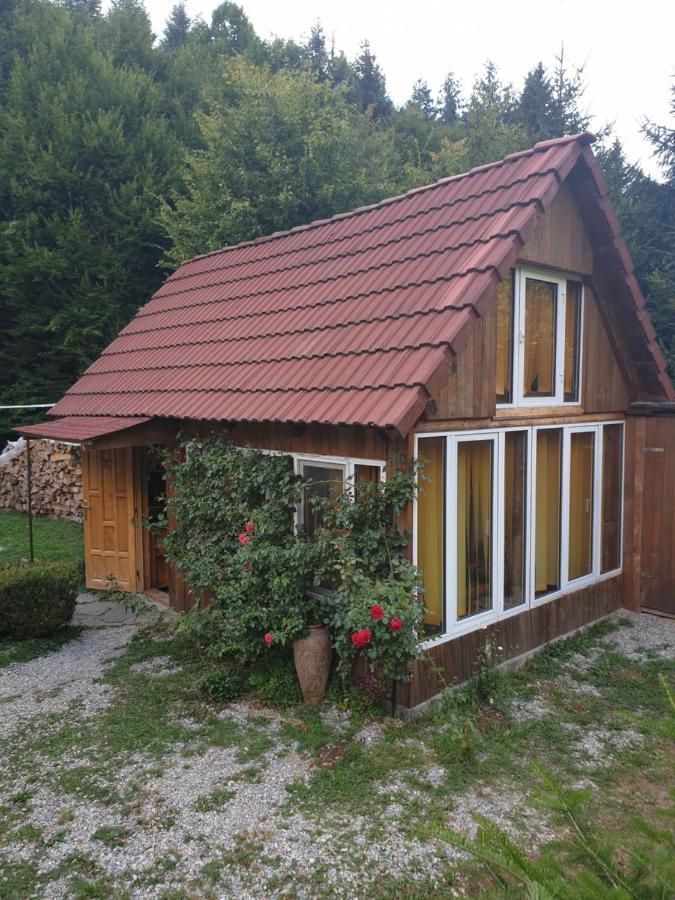 Appartamento Casa Maia Cîrţişoara Esterno foto