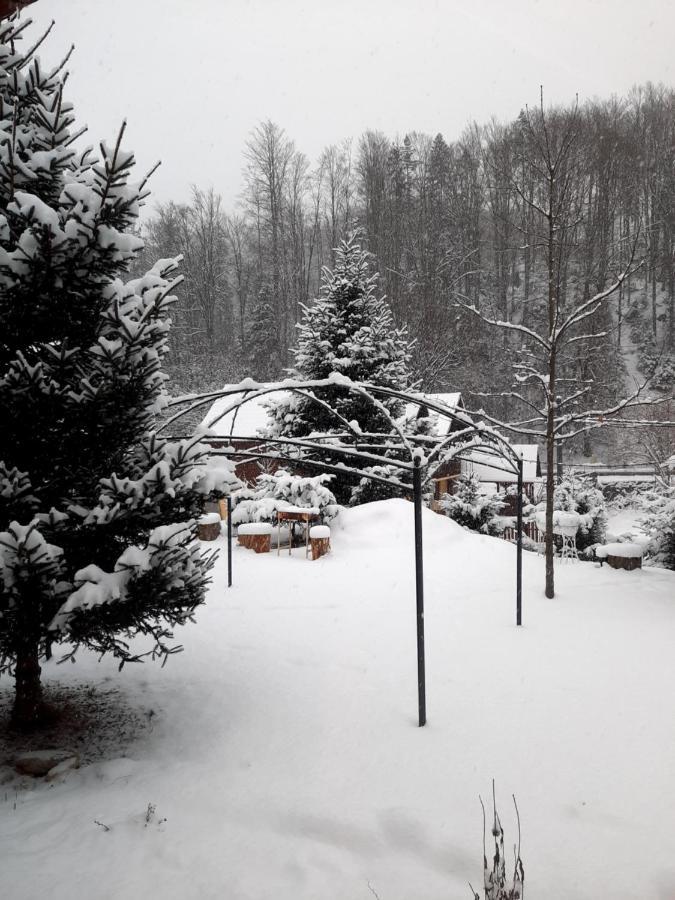 Appartamento Casa Maia Cîrţişoara Esterno foto
