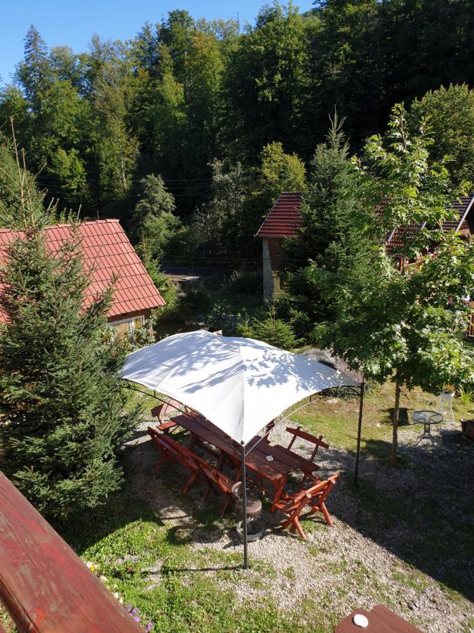 Appartamento Casa Maia Cîrţişoara Esterno foto