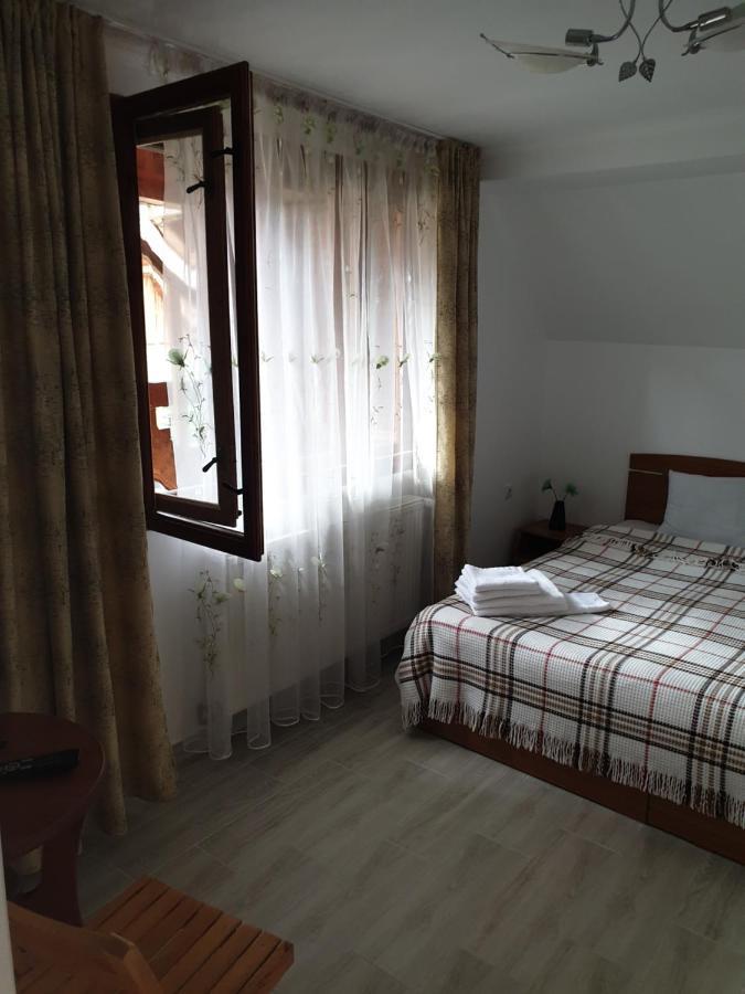 Appartamento Casa Maia Cîrţişoara Esterno foto