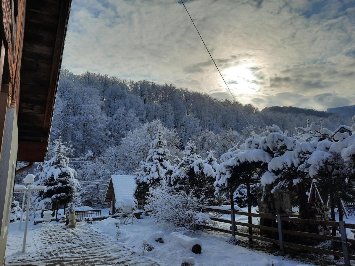 Appartamento Casa Maia Cîrţişoara Esterno foto