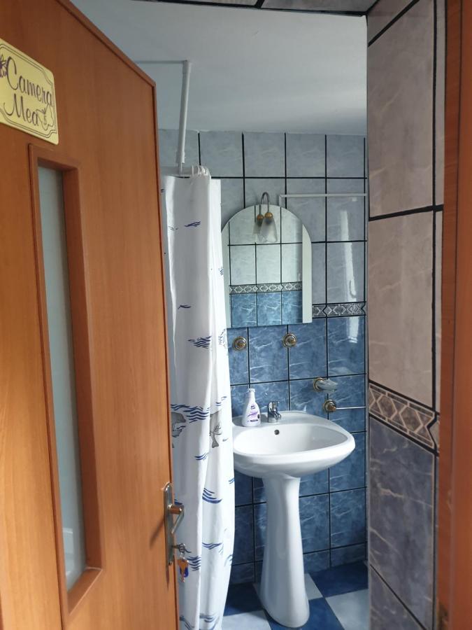 Appartamento Casa Maia Cîrţişoara Esterno foto
