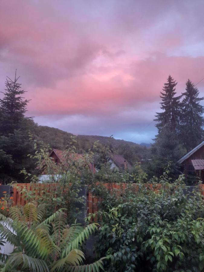 Appartamento Casa Maia Cîrţişoara Esterno foto