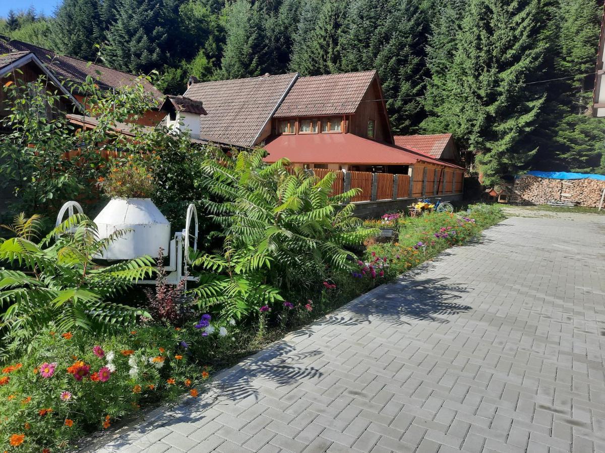 Appartamento Casa Maia Cîrţişoara Esterno foto