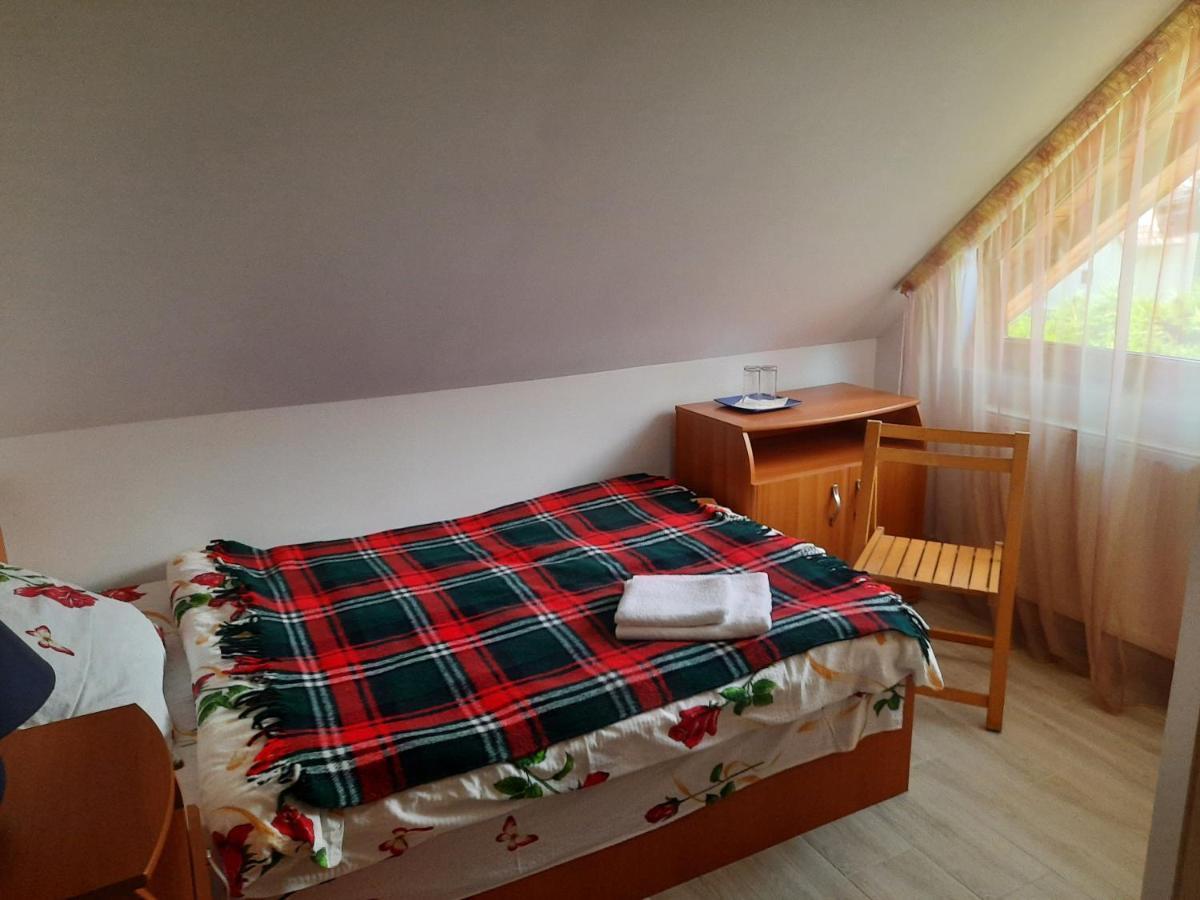 Appartamento Casa Maia Cîrţişoara Esterno foto