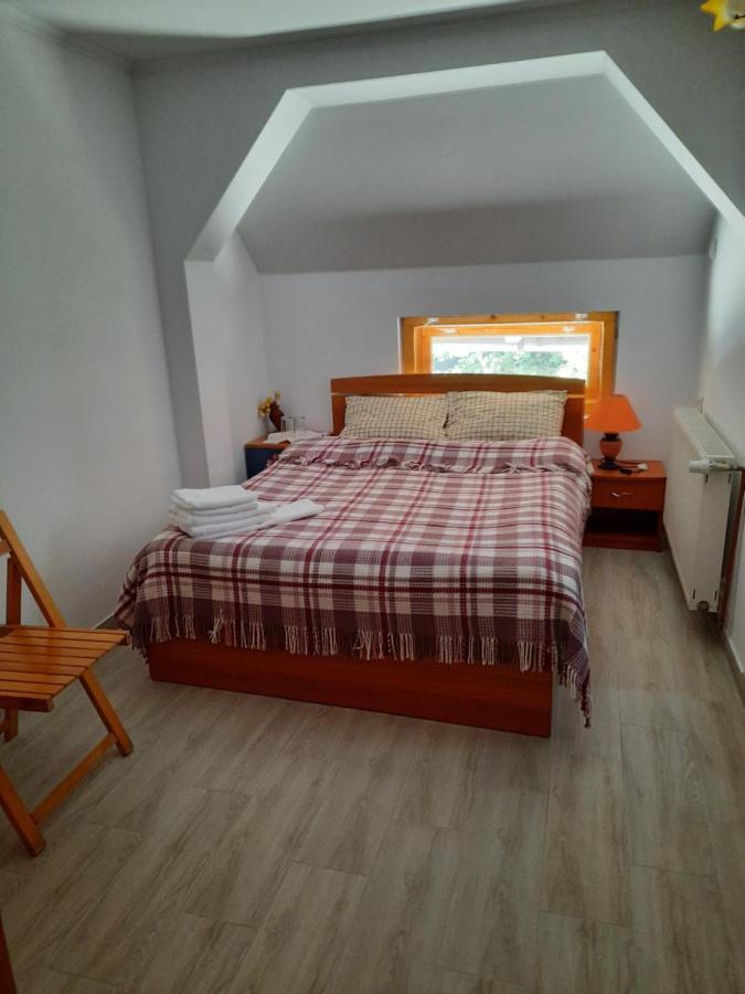 Appartamento Casa Maia Cîrţişoara Esterno foto