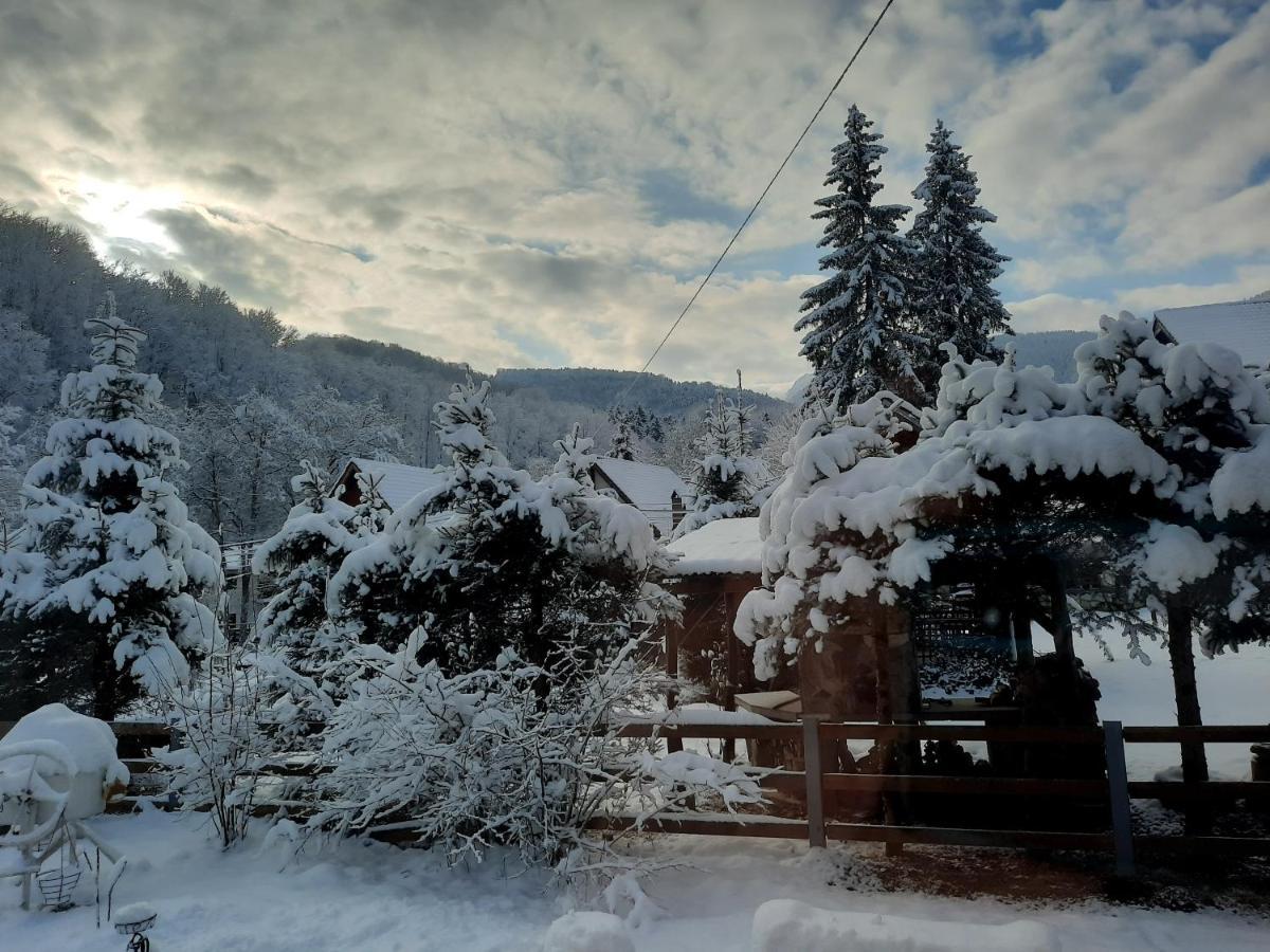 Appartamento Casa Maia Cîrţişoara Esterno foto