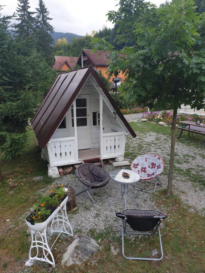Appartamento Casa Maia Cîrţişoara Esterno foto