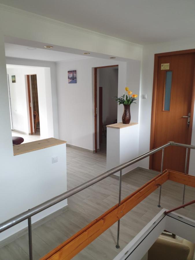 Appartamento Casa Maia Cîrţişoara Esterno foto