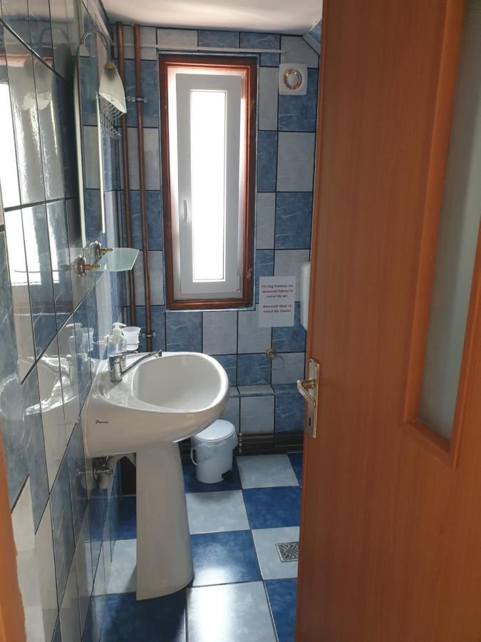 Appartamento Casa Maia Cîrţişoara Esterno foto