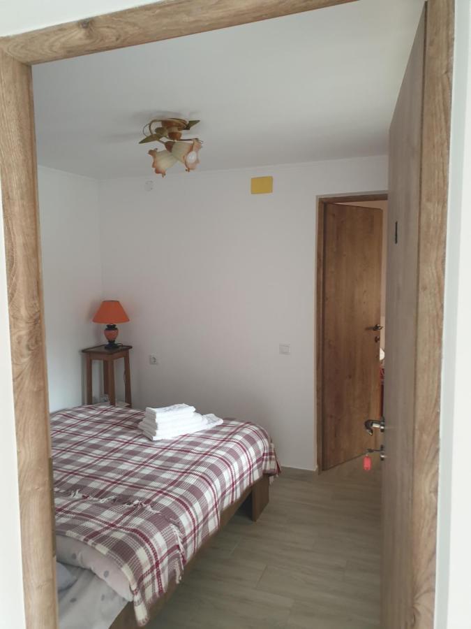 Appartamento Casa Maia Cîrţişoara Esterno foto