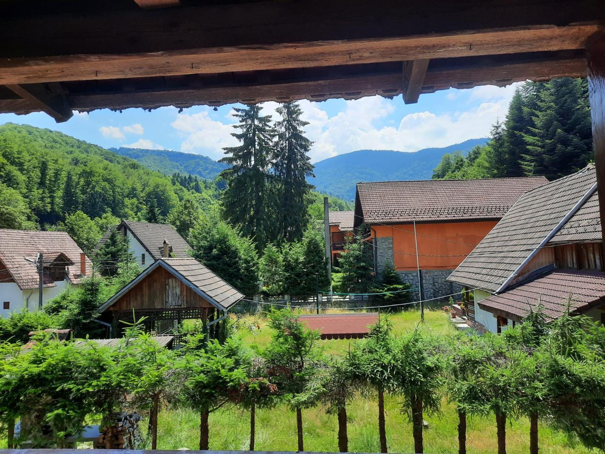 Appartamento Casa Maia Cîrţişoara Esterno foto