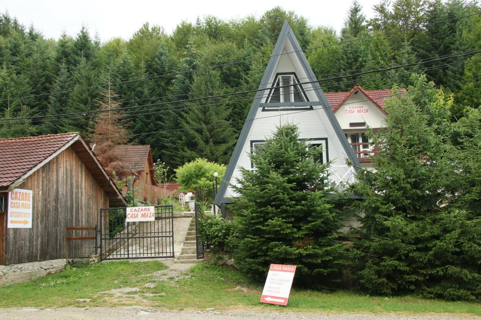 Appartamento Casa Maia Cîrţişoara Esterno foto
